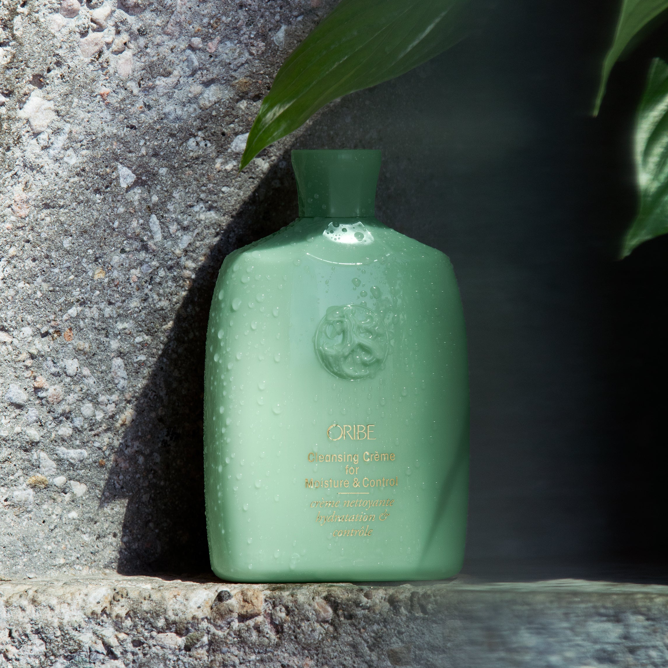 Cleansing Creme for Moisture & Control