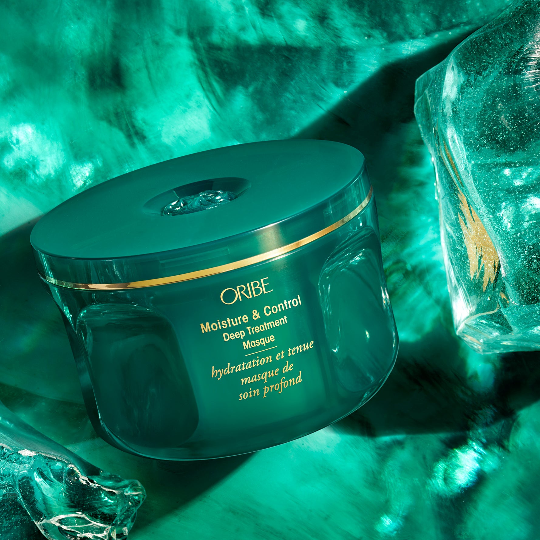 Moisture & Control Deep Treatment Masque